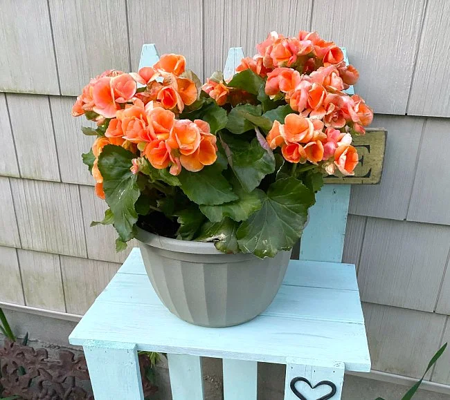 Picket Fence Garden Table