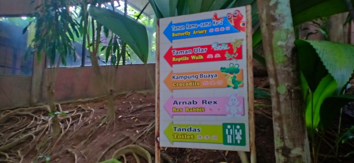 Pergi Taman Rama-rama & Reptilia Melaka - Cerita Ceriti 