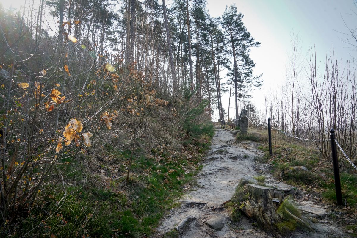 Wyjaśnij Dlaczego Ostrzyca Wyróżnia Się W Krajobrazie Pogórza Kaczawskiego Szwajcaria Lwówecka, Ostrzyca Proboszczowicka, Organy Wielisławskie