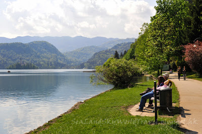 斯洛文尼亞, 碧湖, Lake Bled