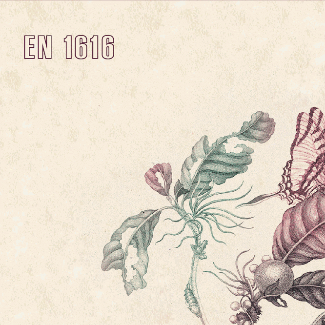 Año1616 Shakespeare + Cervantes [16162016] Ministerio de Cultura