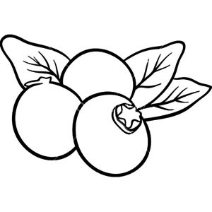Blueberry coloring page 6