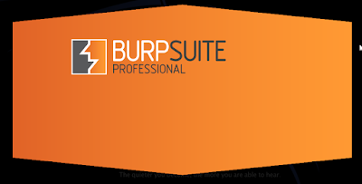 buy burp suite professional buy burp suite professional