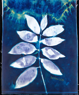 Wet cyanotype -Sue Reno_Image 666