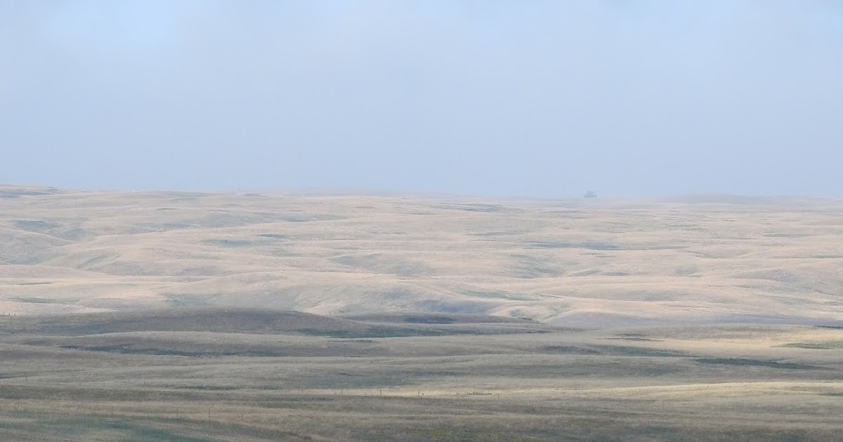 The view from here Cypress Hills, Alberta