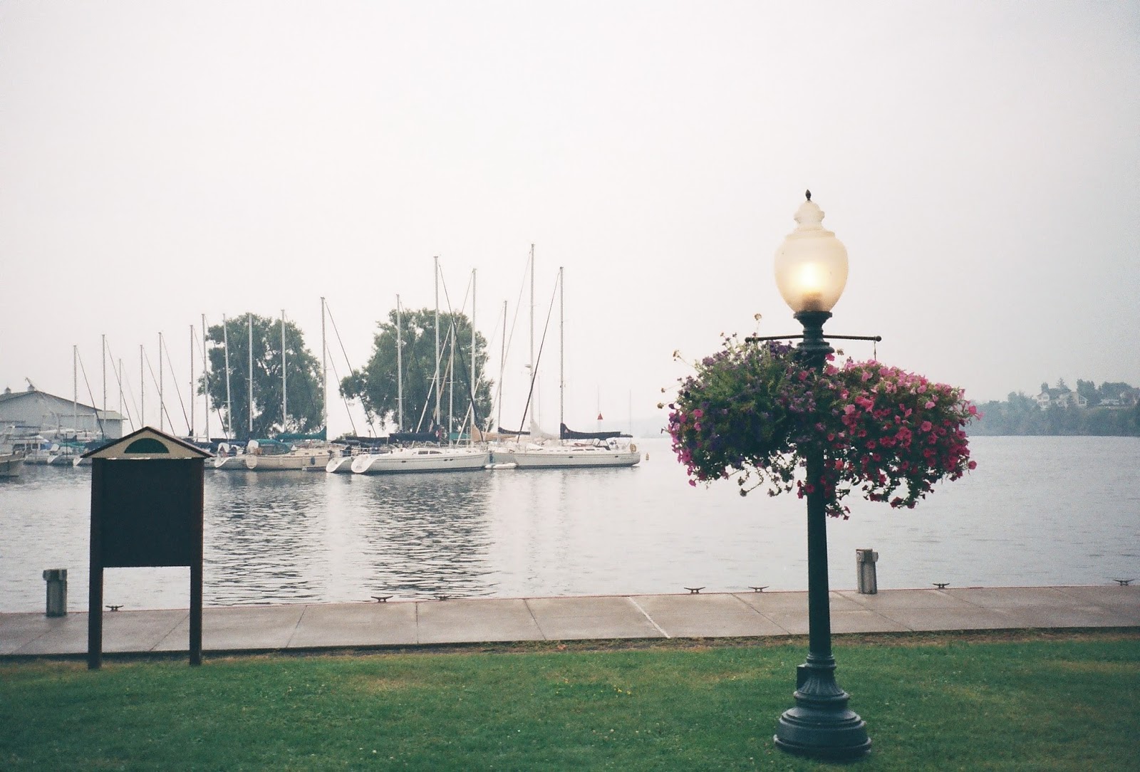 The Northern New York Gardener Flowers & Gardens of Sackets Harbor