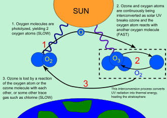 What is the role played by the ozone layer in the atmosphere? Why is the ozone layer depleting?