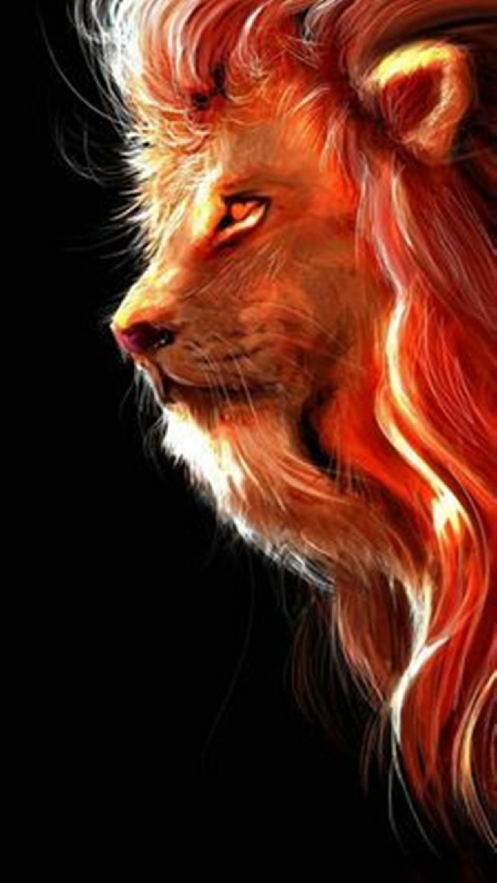 3D Lion Wallpapers  Top Những Hình Ảnh Đẹp