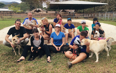 Voluntarios y voluntarias en un proyecto de rescate y cuidado de perros en Tailandia