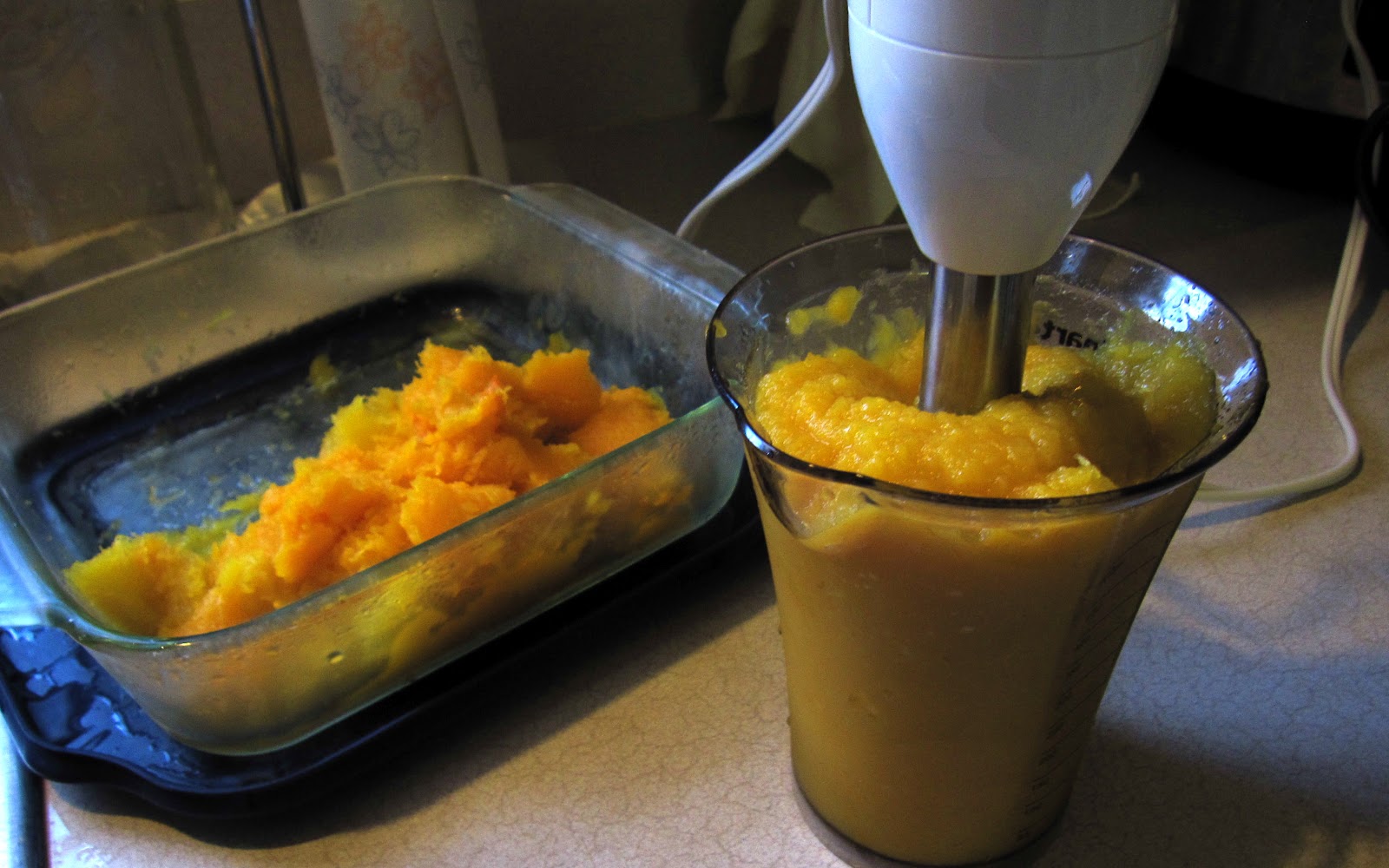 plus other good stuff Why I Love My Immersion Blender