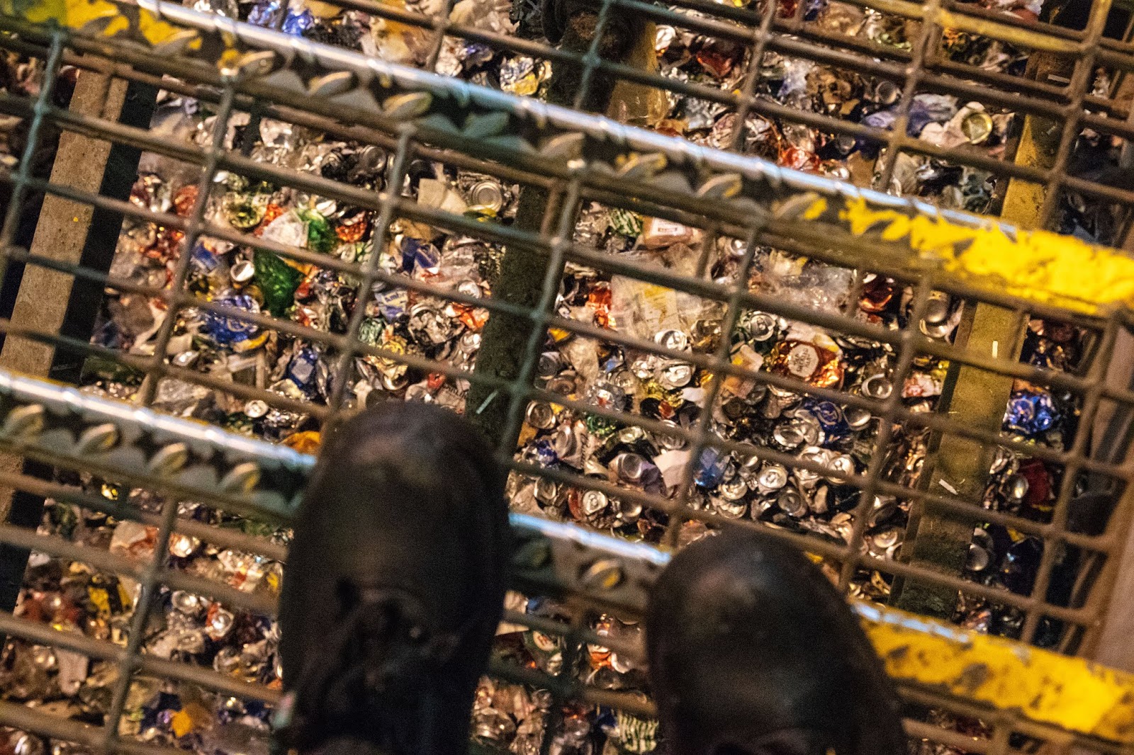 What Happens in a Recycling Plant?
