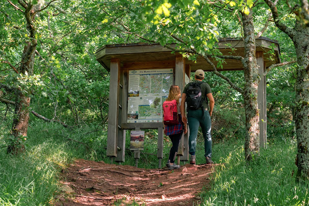 Premiumwanderweg Murgleiter | Etappe 5 von Baiersbronn zum Schliffkopf | Wandern nördlicher Schwarzwald 02