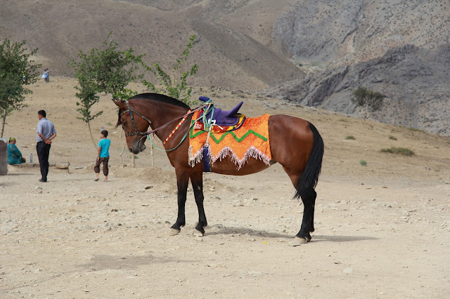 Ouzbékistan, Hazrat-Davoud, © L. Gigout, 2012