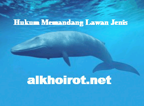 Hukum Memandang Lawan Jenis