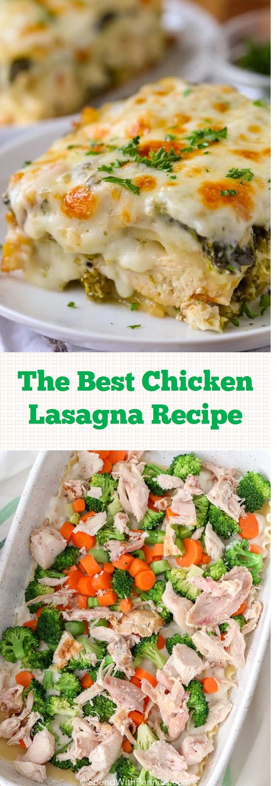 The Best Chicken Lasagna Recipe