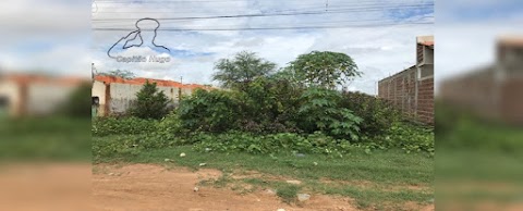 Abandono de terreno particular, gera problemas aos moradores do Jatobá em Patos-PB