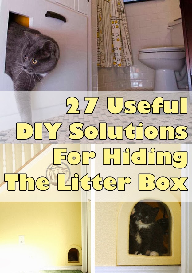 Useful DIY Solutions For Hiding The Litter Box