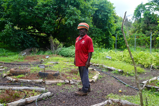 Laura herb and spice garden, grenada