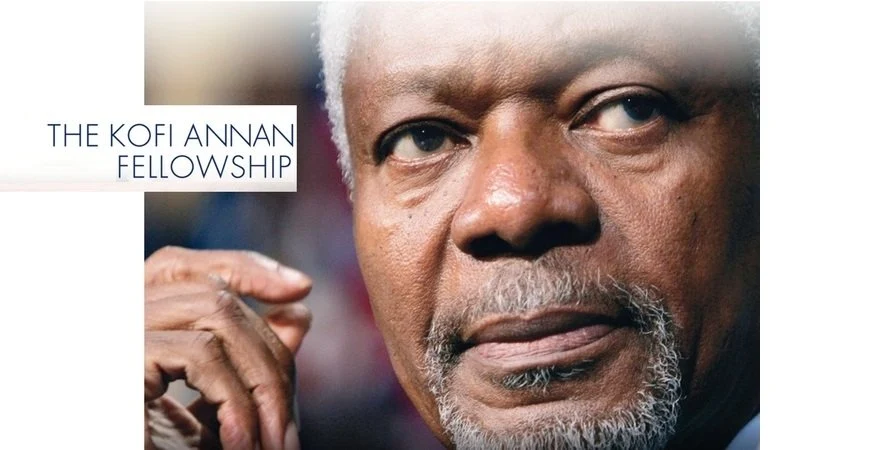 Kofi Annan Fellowship in Public Health Leadership Program 2021