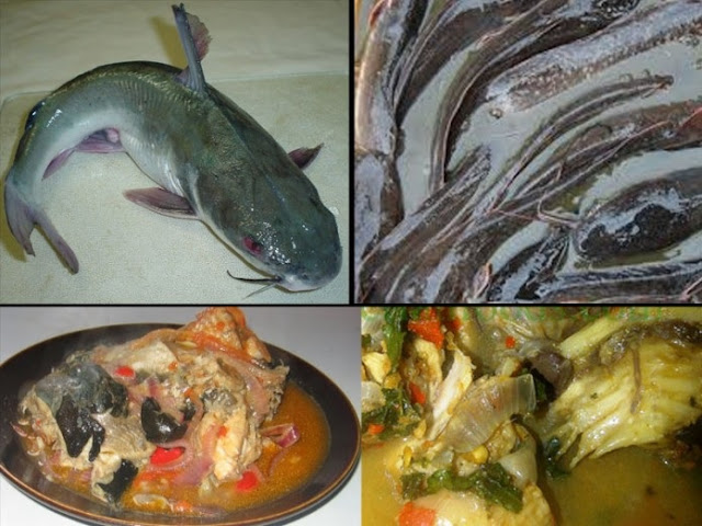 Nigerian catfish pepper soup may harbour cancer, killer fats – experts