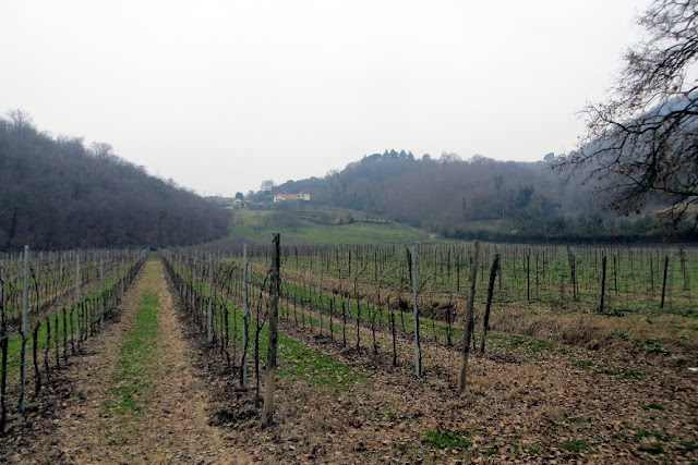 sentiero del giubileo abbazia di praglia