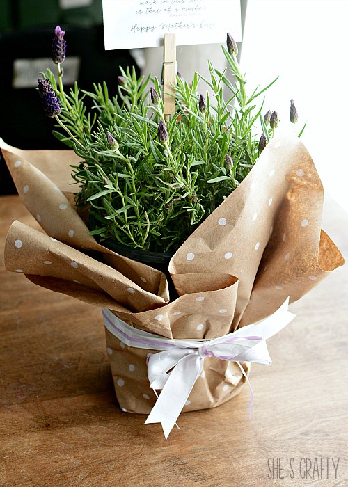 She's Crafty: Mother's Day plant gift with printable and tag holder