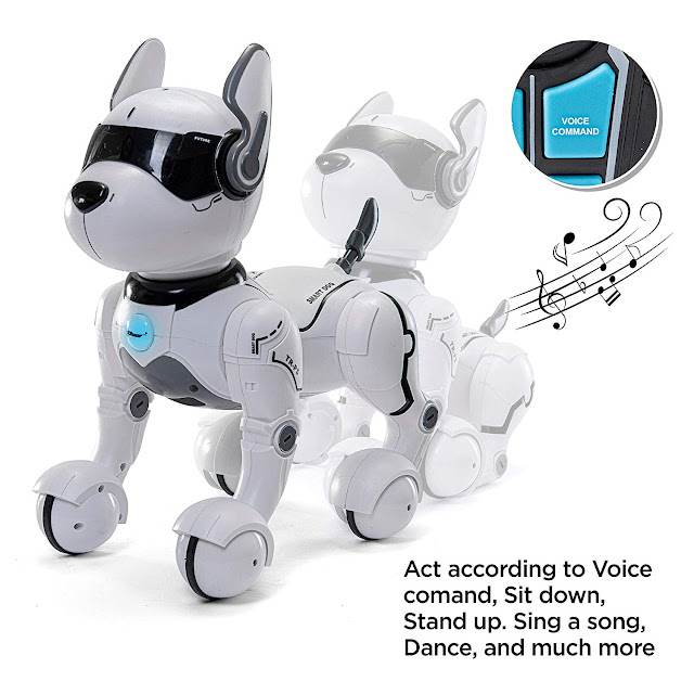 Remote Control Robot Dog Toy, Robots for kids, Rc Dog Robot Toys for
