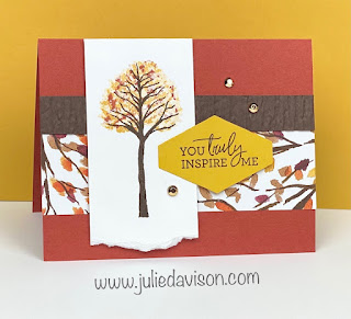 Stampin' Up! Beauty of the Earth Mini DSP Explosion Card + VIDEO ~ www.juliedavison.com #stampinup
