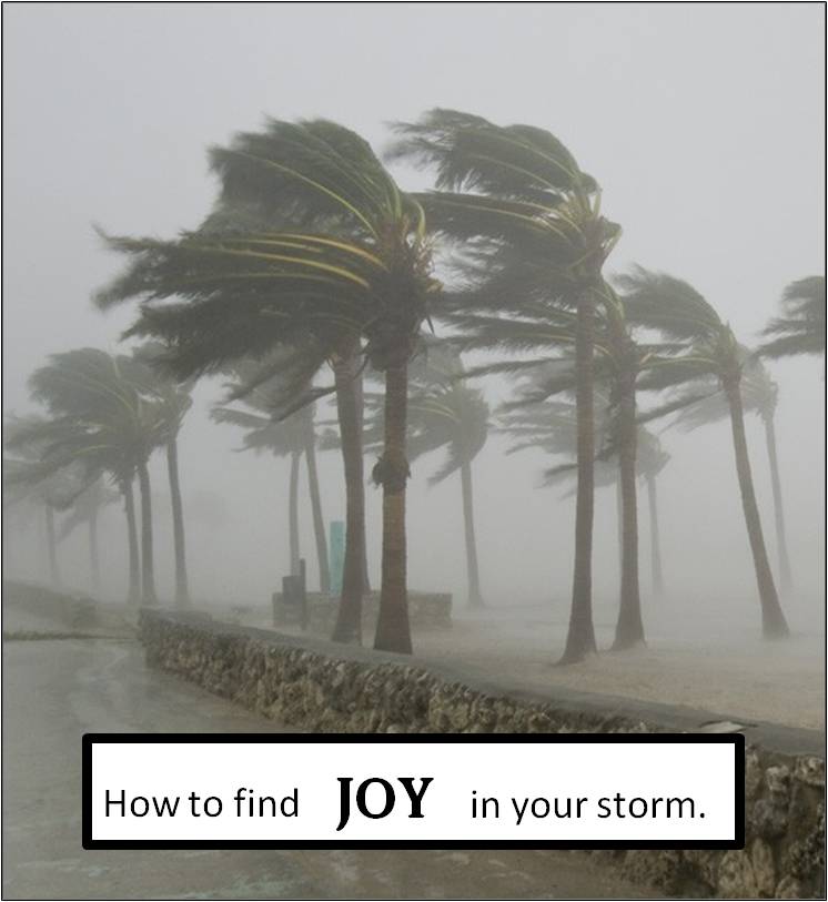 Walking the Wild Path: How to Find Joy in the Midst of the Storm