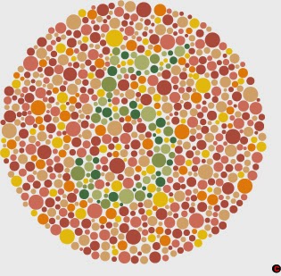 Soal Tes Buta Warna Pdf Guru Paud