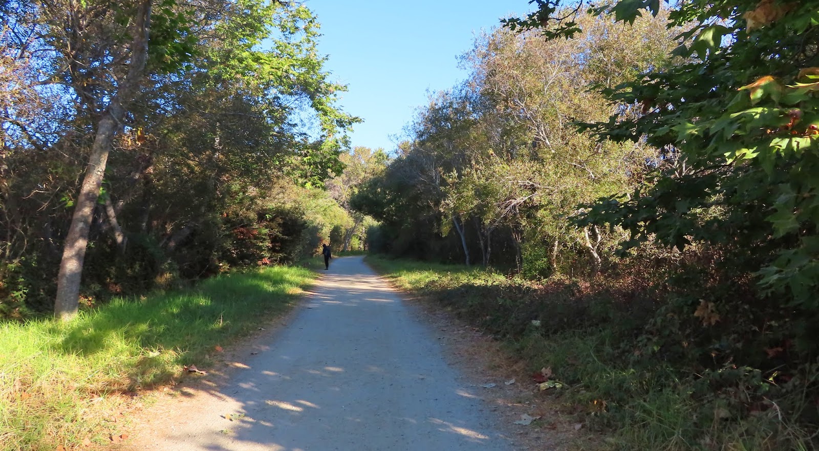 Carmel by the Sea Mission Ranch, Mission Trails Park, Mission Basilica