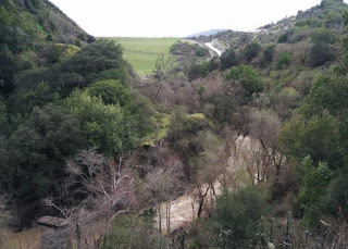 Lexington Dam with water streaming down the spillway above the muddy waters of Los Gatos Creek, Los Gatos, California