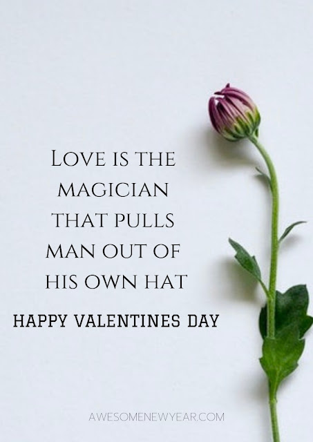 Valentine Pictures and Valentine Messages