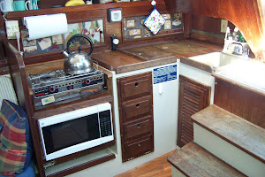 Galley and dog-friendly entrance