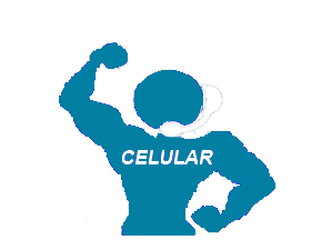 baile