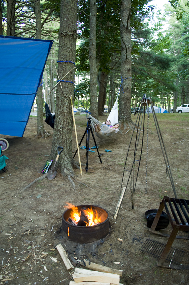 The 3 Foragers Foraging for Wild, Natural, Organic Food Our Long