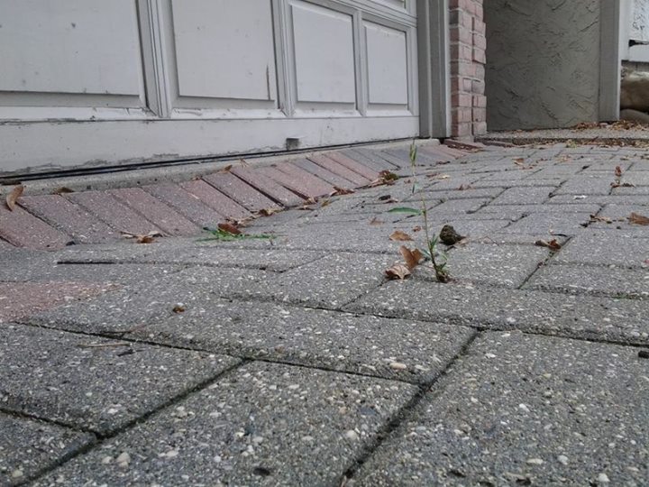 The Paver Doctors Settlement