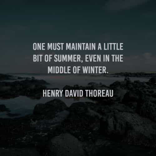 50 Summer quotes that will inspire you about summertime