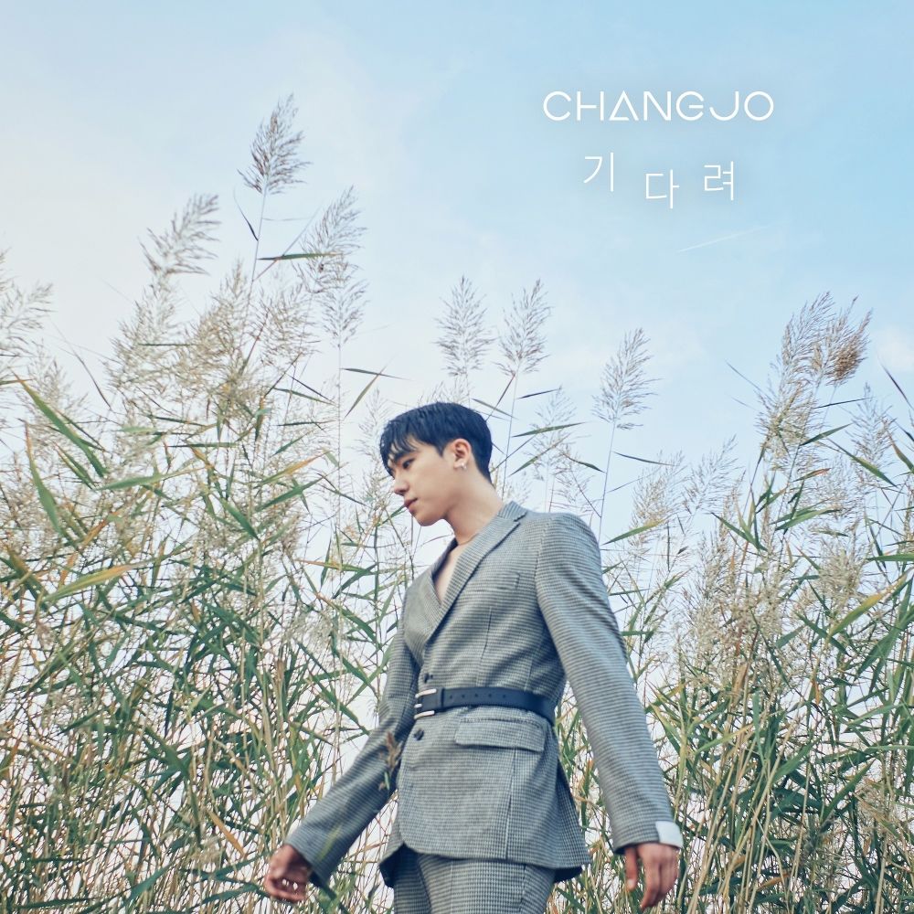 Changjo – Never Anything (Feat. V-Hawk) – Single