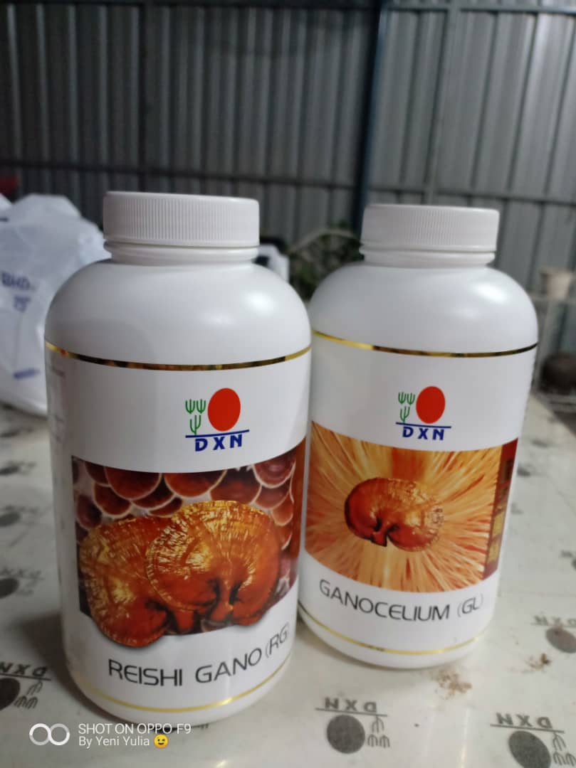 El Ganoderma de DXN INTERNATIONAL