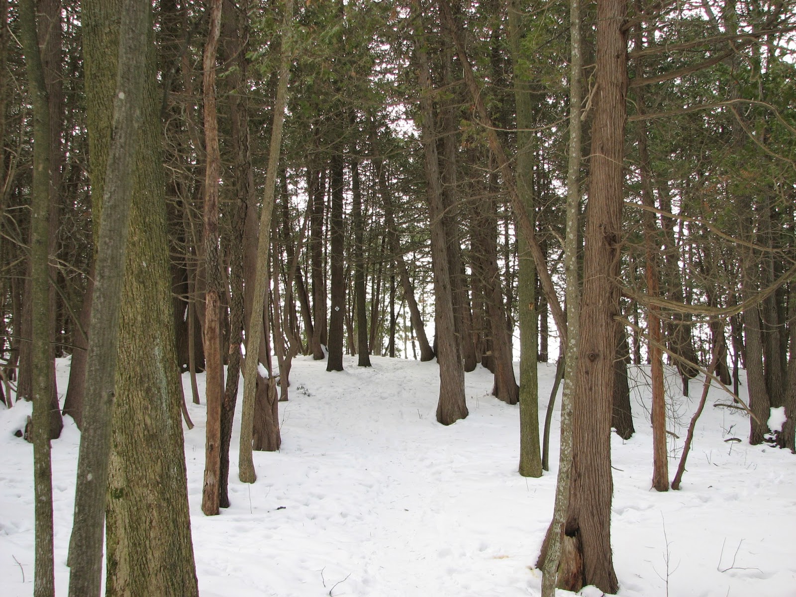 South Burlington, Vermont nature trails Winooski Overlooks ParkDon't look down! South