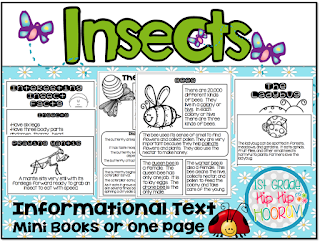 hip hooray 1st grade informational provided form mini text books