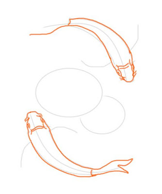 koi-fish-drawing