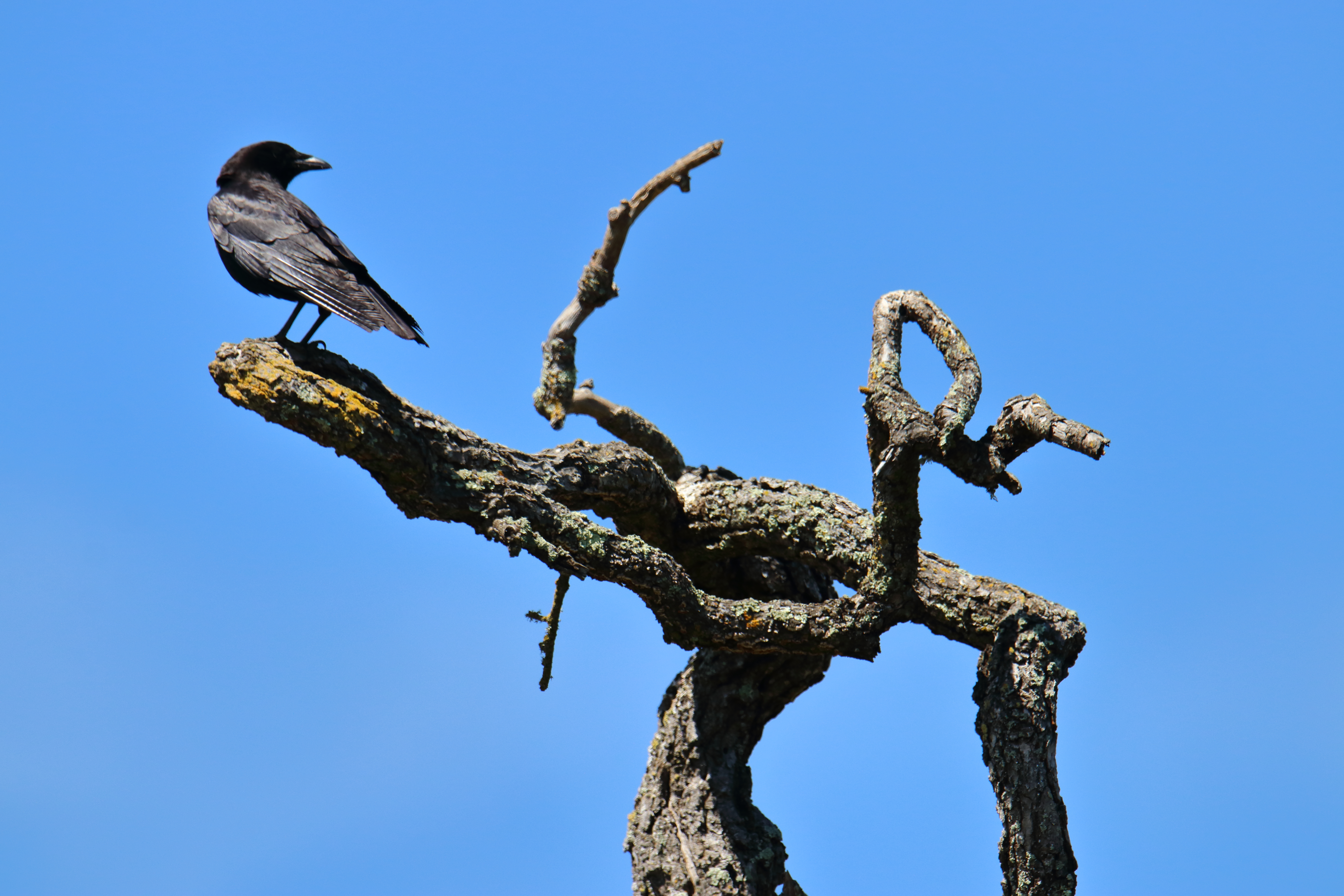 Coyote Lake County Park