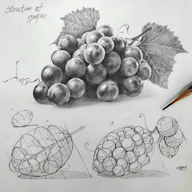 11-Grapes-Anjjaemi-www-designstack-co