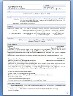 IP Support Specialist Sample Resume Format in Word Free Download