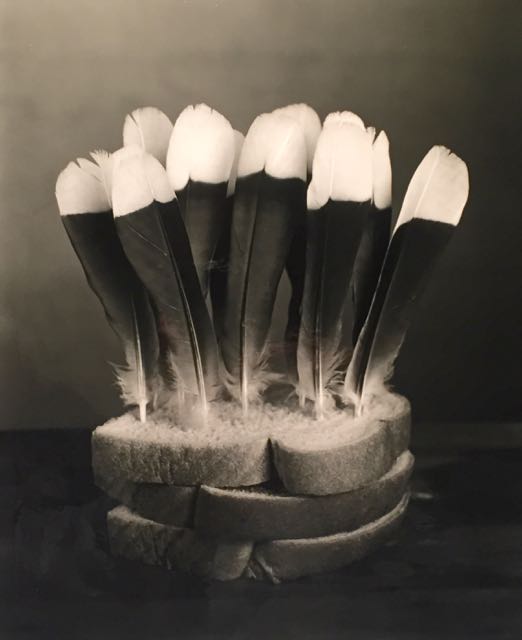 Robert Langham Feather dusting.