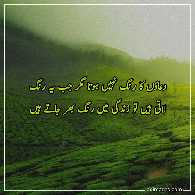 beautiful quotes in urdu on life