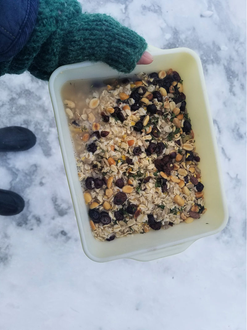 Best Winter Treats for your Chickens! Fresh Eggs Daily® with Lisa Steele