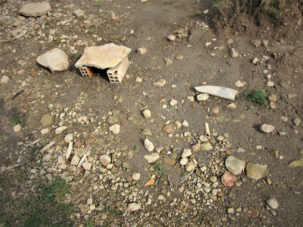 Campos de Arenoso Campos de Arenoso